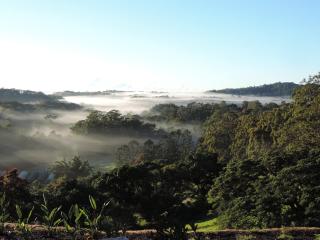 The Dragonfly Retreat - Nambour - 3