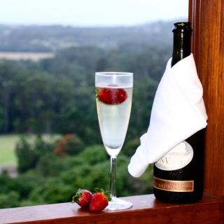 The Dragonfly Retreat - Nambour - 0