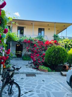 Guesthouse Mtkvari - Nak'alak'evi - 9