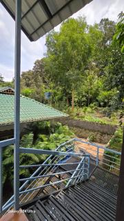 BOB Green House - Sultan Bathery - 7