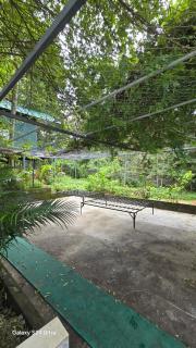 BOB Green House - Sultan Bathery - 2