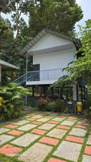 BOB Green House - Sultan Bathery - 1