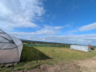 Gallow Hill Campsite - - 3