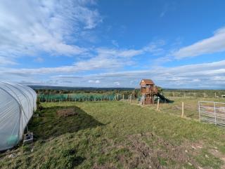 Gallow Hill Campsite - - 2