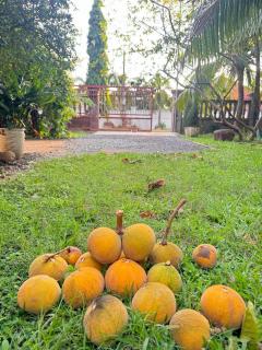 ACD Homestay - Kampot - 4