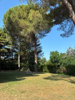 BASISA Bed&Breakfast - San Lazzaro di Savena - 7