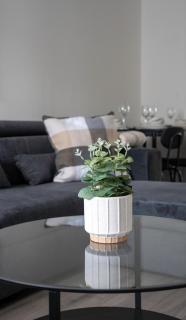 Camneth House - Larkhall - 6