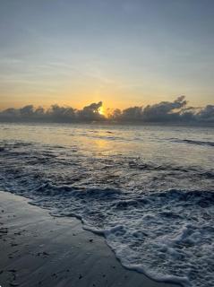 Summer Homes - Mombassa - 9