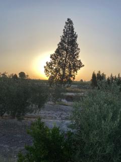 Finca paraiso - 2