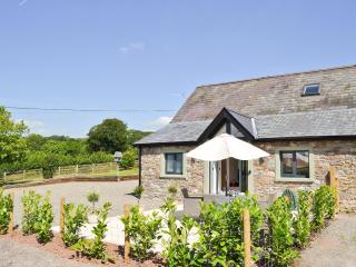 Ty Isaf Cottage - Ffair-fâch - 0