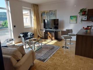 Exklusive Wohnung nur 2 Minuten ins Zentrum - Sankt Veit an der Glan - 5
