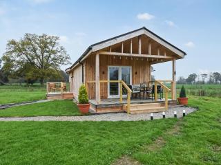 Llwynog Lodge - Montgomery - 0