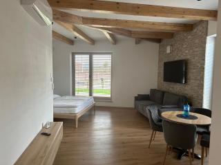Hotel Brick House Apartments - Nitra - 4