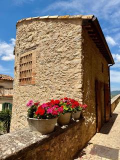 Historical Tower - Tamerò Estates - Casperia - 9
