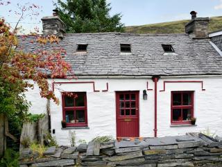 Bryn Rhos Goch - Dolwyddelan - 0