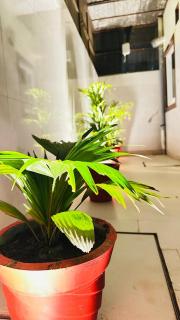 Sri Shyamalaya Premium Homestay 400m to RJB - Ayodhya - 2