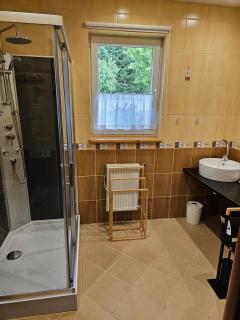 Apartament Izerskie Gaje - Wojcieszyce - 3