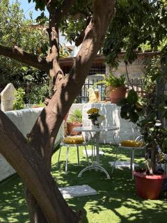 Sunbeam house - Nea Makri - 5