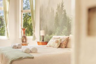 Villa Thor: A Majestic 100-Year-Old Manor - Genk - 7