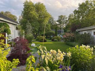 Dalsäter Kolmården - 8