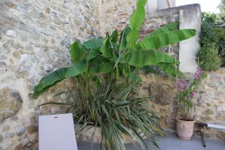 LA MAISON DE LIVIA, Gîte, chambres et table d'hôtes, entre Uzès et Nîmes - 2