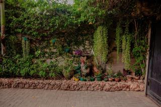 Namangi Cottage, Country Living in Dar - Dar es Salaam - 7