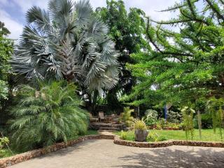 Namangi Cottage, Country Living in Dar - Dar es Salaam - 4