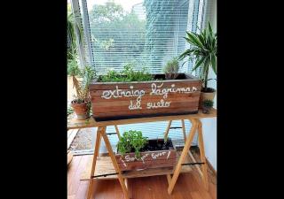 Villa avec jardin et piscine privés - 8