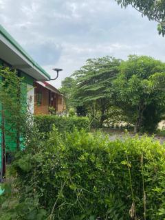 สวรรค์บ้านนา คาเฟ่ ณ บ้านนา - Ban Pa Kha (1) - 5