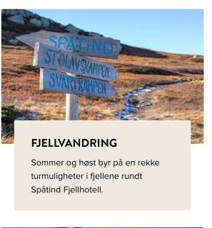 Leilighet til leie på Synnfjell - Lii - 0