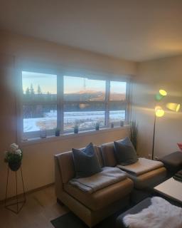 Leilighet til leie på Synnfjellet - 7