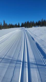 Leilighet til leie på Synnfjellet - 6
