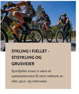 Leilighet til leie på Synnfjell - Lii - 2