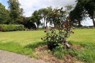 A place in the country - Templemore - 8