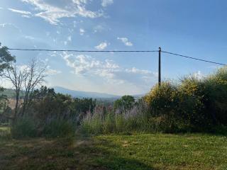 Agriturismo Tenute di Hera - Via Francigena - Acquapendente - 8