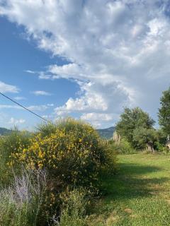 Agriturismo Tenute di Hera - Via Francigena - Acquapendente - 1