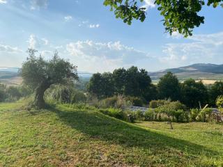 Agriturismo Tenute di Hera - Via Francigena - Acquapendente - 5