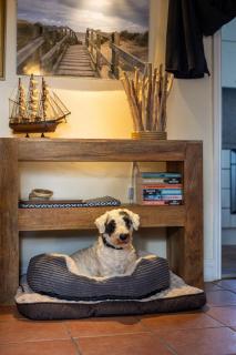 Beautiful dog friendly cottage 5 minute walk to beach - Sea Palling - 3