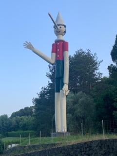 Il gatto e la volpe 2 - Collodi - 7