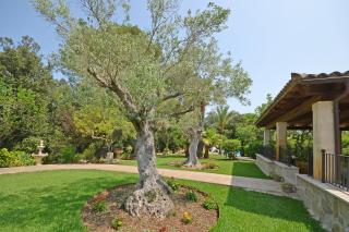 Rossa - Campanet - 4