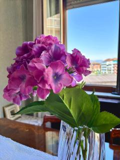 Chez Louise, free wi-fi & 5 minutes from InalpiArena - Turin - 3