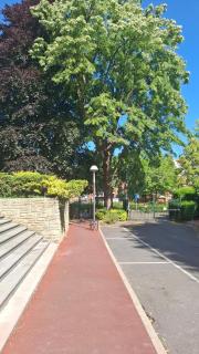 Appt 85m2 2 chambres Terrasse Pkg Tram Buisson Lille - 7