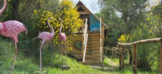 Glamping Castel Dell'Aquila - Gragnola - 7