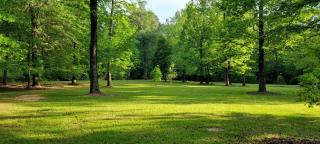 Equipped Camper Lovely for a Glamping Getaway in Louisiana - - 9