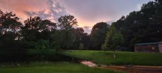 Equipped Camper Lovely for a Glamping Getaway in Louisiana - - 8