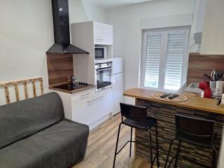 Grand T2 lumineux 2 pers Olivet Avenue Loiret - Olivet - 7