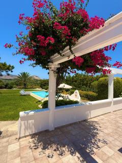 Villa Paradisos Archangelos - Archangelos - 7