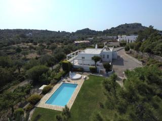 Villa Paradisos Archangelos - Archangelos - 9