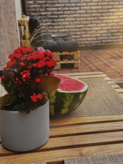 Cozy Melnrage - Melnragė - 5