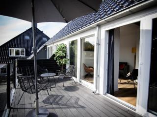 Bright apartment within walking distance of the Sneekermeer - Offingawier - 9
